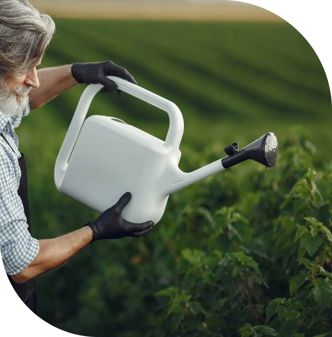 
									fertilizer_for_plants